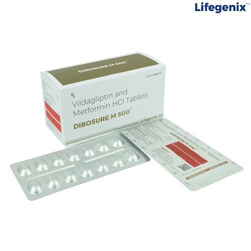 Vildagliptin and  Metformin HCL Tablets